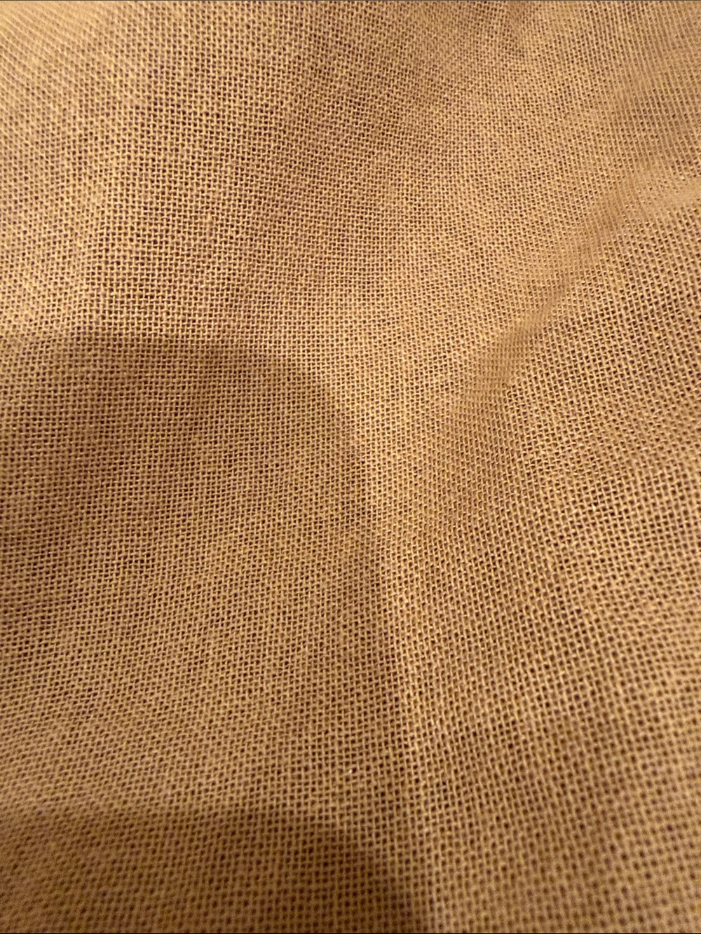Burberry Brown Canvas Garment Bag with Top Handles - Picture 12 of 13